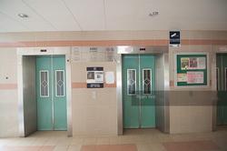 Blk 298C Compassvale Street (Sengkang), HDB 5 Rooms #155018462